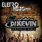 Download EletroNejo Fest (2015) Torrent