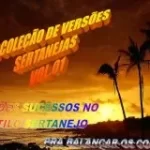 Coleção - Várias músicas em Versões Sertanejas (10 cds)
