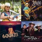 Download This is Bruna Viola on Spotify via Torrent