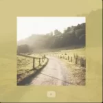 Download Longa estrada sertaneja - YouTube Music 2021 [Mp3] via Torrent