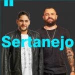 Download Sertanejo 2021 Mais Tocadas (2021) [Mp3] via Torrent