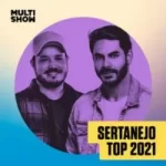 Download Sertanejo Top 2021 [Mp3] via Torrent