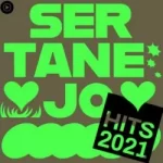 Download Sertanejo Hits 2021 - YouTube Music (2022) [Mp3] via Torrent