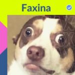 Download FAXINA (2022) [Mp3] via Torrent